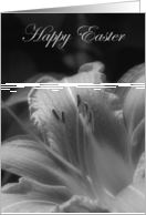 Happy Easter-Lily