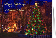 Boston Tree-Holiday...