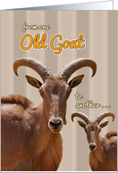 From One Old Goat to...