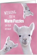 Warm Fuzzies on Your...