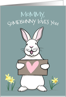 Mommy Somebunny...