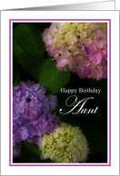 Happy Birthday Aunt,...