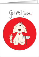 Get Well for Pet Dog...