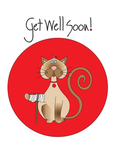 Get Well for Pet Cat...