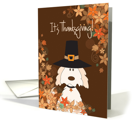 Thanksgiving, Dog in Pilgrim Hat, Clusters of Fall Leaves... (1491858)