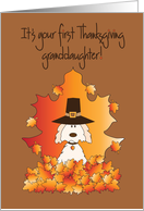 First Thanksgiving,...