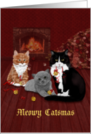 Jingle Bells Cats -...