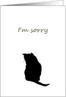 I'm Sorry Cat...