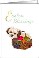Easter from Pet Shih...