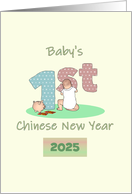 Baby's 1st Chinese...