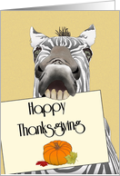 Thanksgiving Zebra...