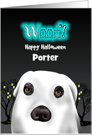Halloween For Dogs...