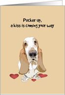 Pucker Up For A Kiss...