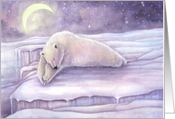 Sleeping Bear Polar...