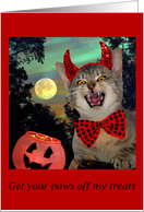 Halloween Scary Cat