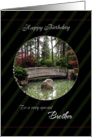 Happy Birthday for Brother Garden Bridge card