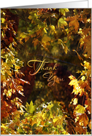 Thank You Autumn...