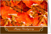 Happy Thanksgiving ~...