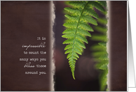 Fern Frond - Thanks...