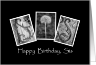 Sis - Happy Birthday...