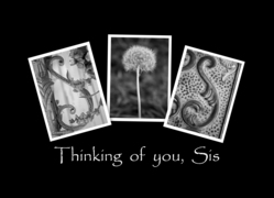 Sis - Thinking of...