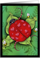 Lovebug - Ladybug...