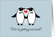 Gay Penguins Wedding...