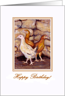 Pullets Birthday