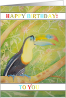 Toucan Birthday Card