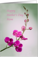 Happy Mother's Day,...