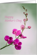 Happy Mother's Day,...