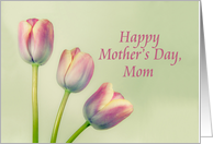 Happy Mother's Day,...