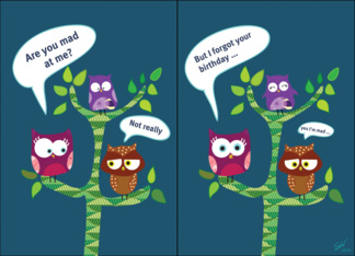 Owls - Happy Belated...