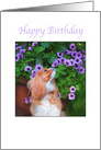 Happy Birthday Cavalier King Charles Spaniel With Flowers card