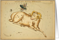 Aries zodiac...