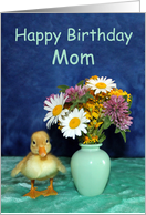 Happy Birthday Mom -...