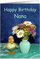 Happy Birthday Nana ...