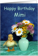 Happy Birthday, Mimi...