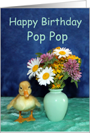 Happy Birthday Pop...
