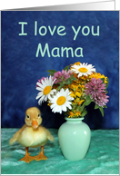 I Love You Mama -...