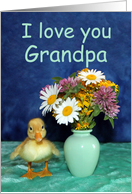I Love You Grandpa,...