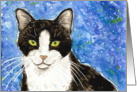 Black and White Tuxedo Cat Blank Card