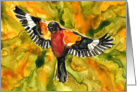 Colorful Grosbeak Flying Bird Watercolor Painting Blank Note Card
