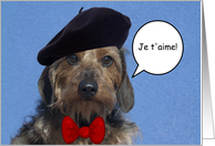 Je t' aime Terrier...