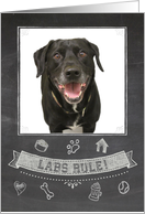 Black Lab Chalkboard...