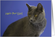 Happy 'Purr' Day,...