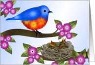 Bluebird, and Nest...