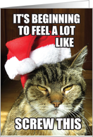 Screw This Humorous Christmas Greeting Card Featuring a Mad Cat card