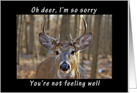 Oh Deer Get Well...