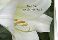 An Easter Wish for...